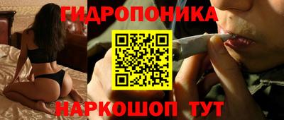 МДПВ Канаш