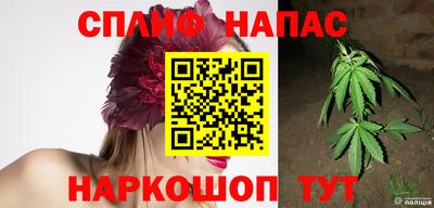 МДПВ Канаш