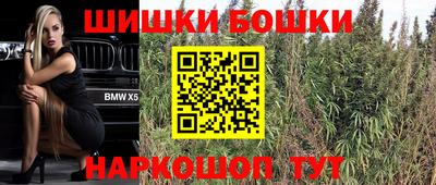 сатива Кандалакша