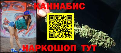 мдпв Камышлов