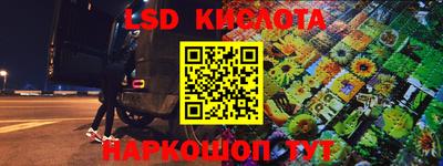 сатива Кандалакша