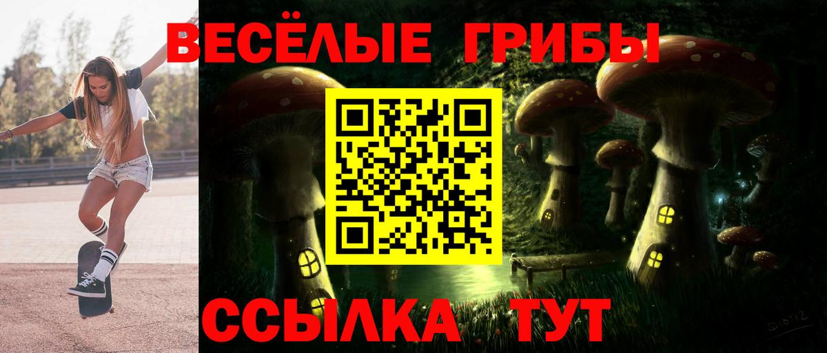 Псилоцибиновые грибы мицелий Нижний Тагил